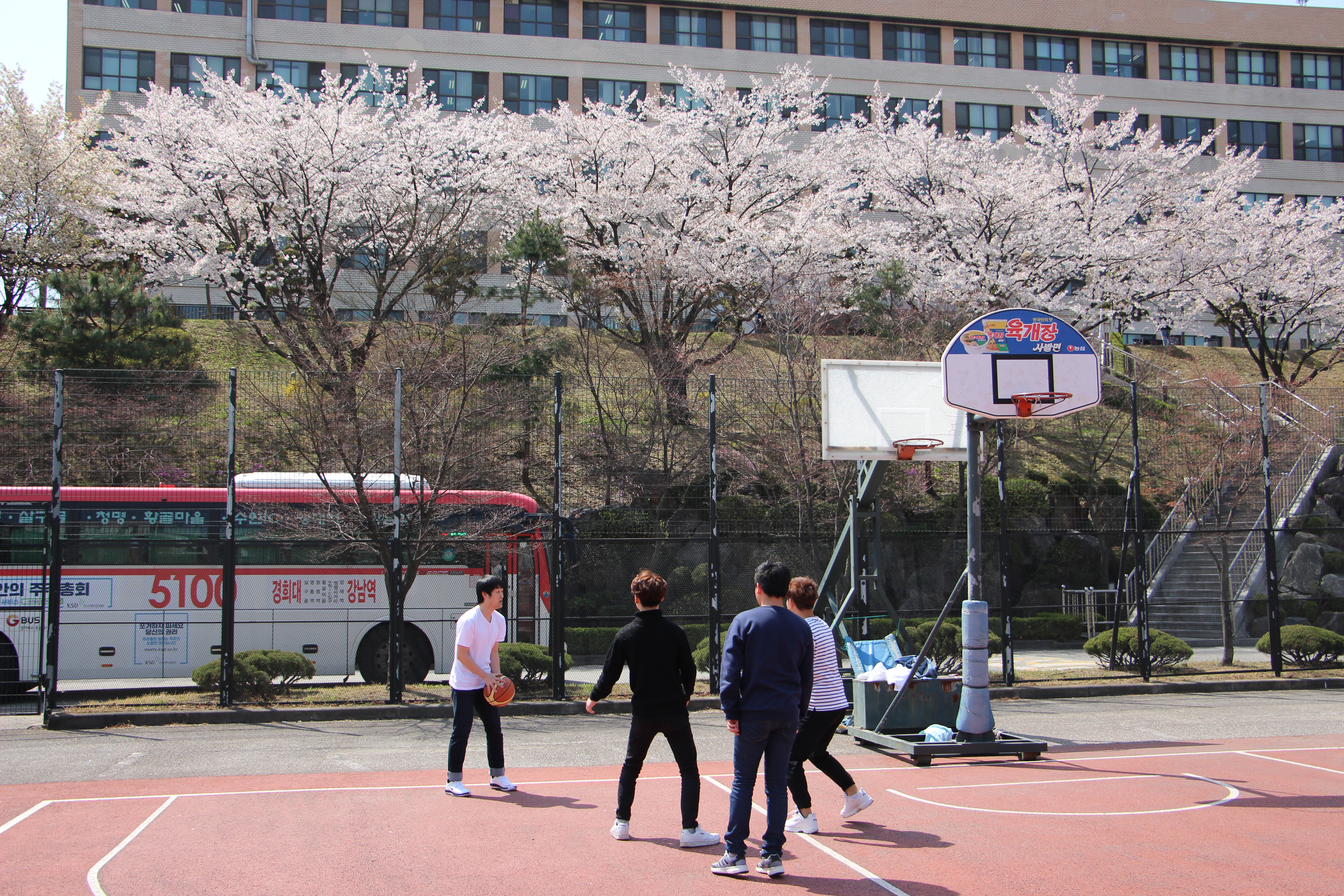 다모아학교 학생들이 대학 캠퍼스을 즐기는 법 이미지 2
