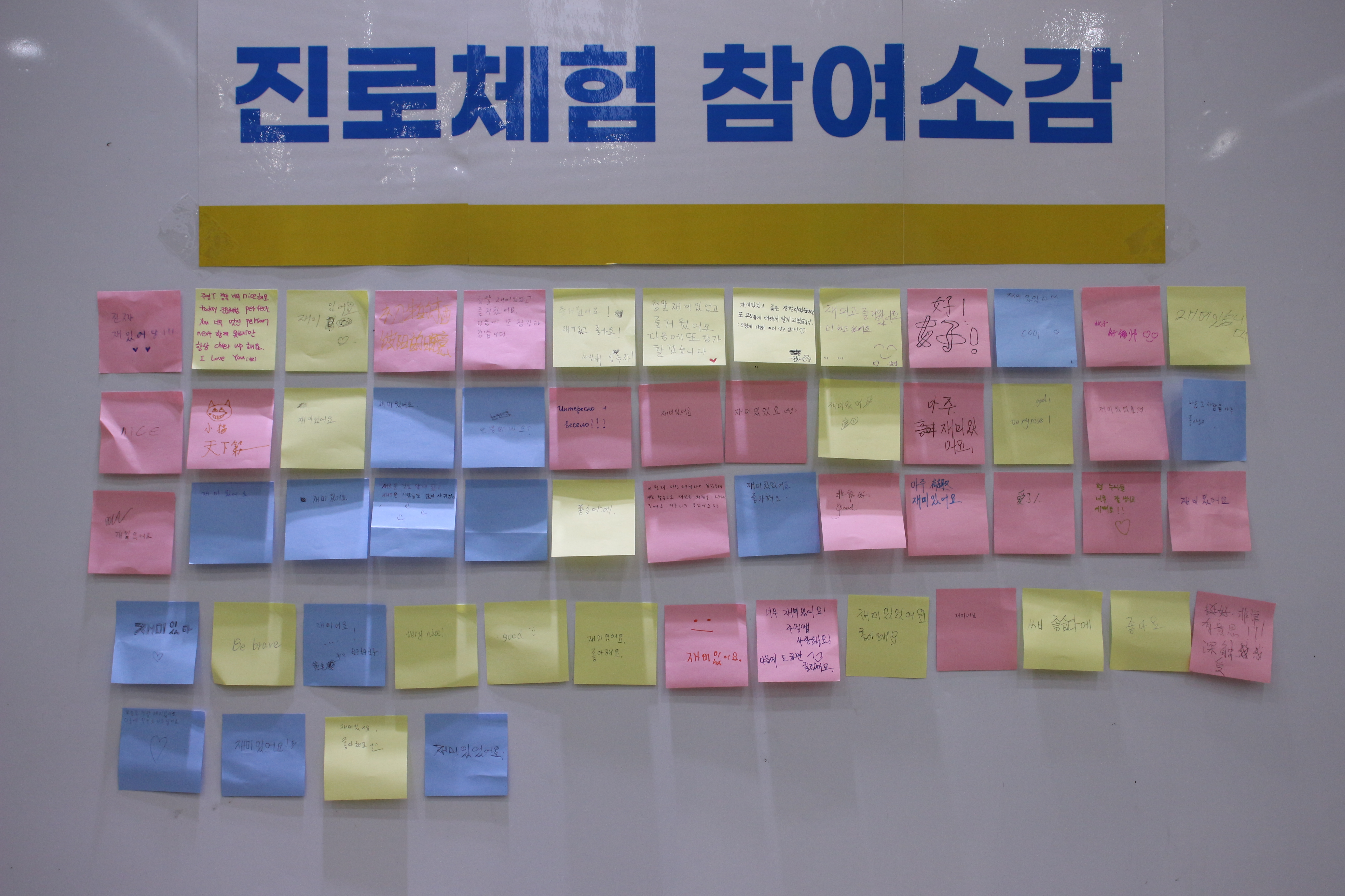2023 진로체험 