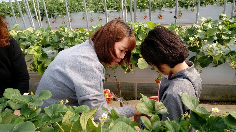 볼빤간 사춘기, 새빨간 딸기를 만나다!! 이미지 2