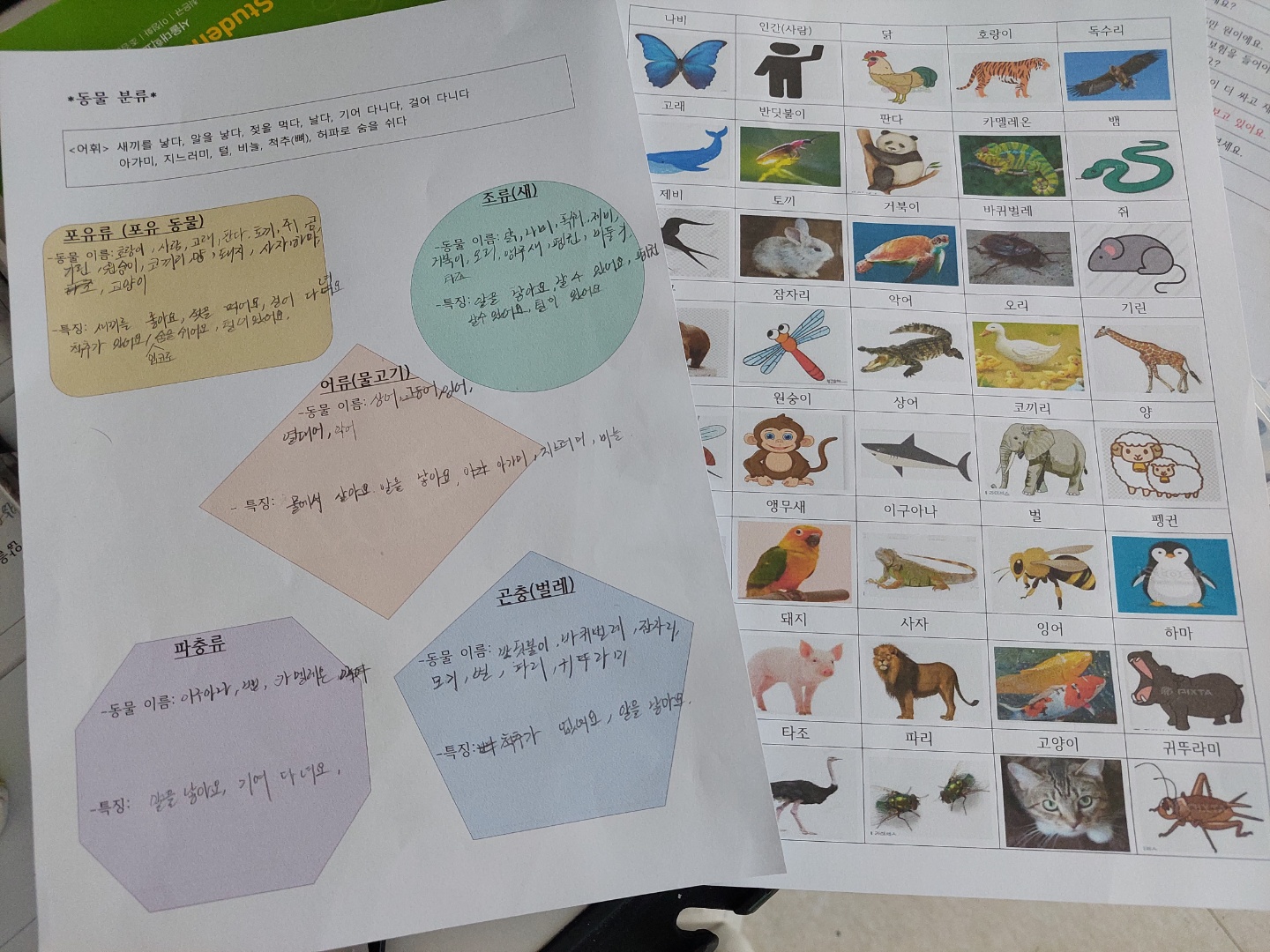 훈린정음 2급 반 이미지 5